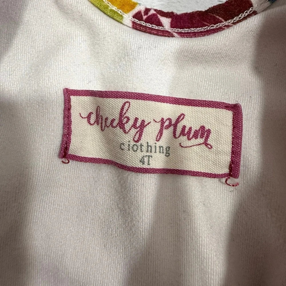Cheeky Plum girls long sleeve velvet skirt leotard 4T